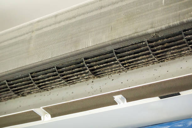 Best Commercial Air Duct Cleaning  in Grambling, LA